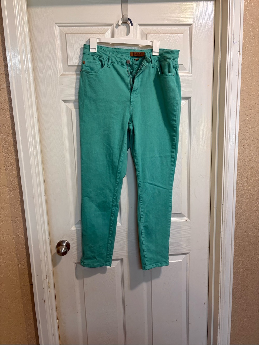 Judy Blue Teal Skinny Jeans